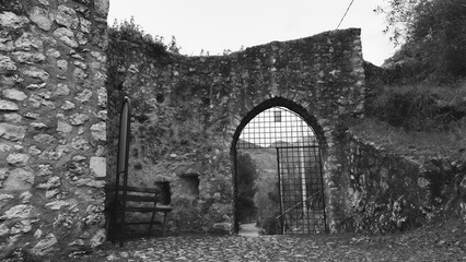 Fototapeta premium default