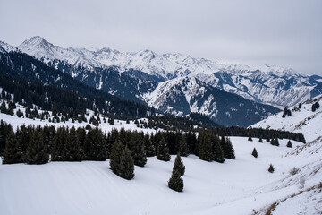Fototapeta premium Pristine winter nature of Kok Zhailau plateau before development. View of Kumbel and Three Brothers peaks, Almaty, Kazakhstan