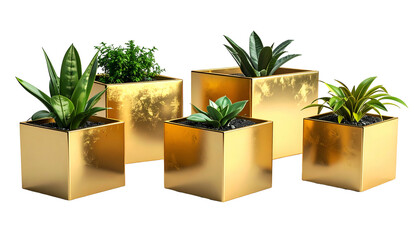Five potted plants with varied greenery are displayed in cube-shaped gold planters against black