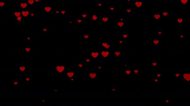 Falling red hearts animation on transparent background, falling red hearts particle effect best for Valentines Day, wedding anniversary, love, motion graphic video animation.