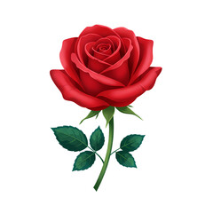 Naklejka premium Transparent background illustration of various BEAUTIFUL FLOWERS BLOOMING FOR WEDDING ORNAMENTS OR JEWELRY DECORATION