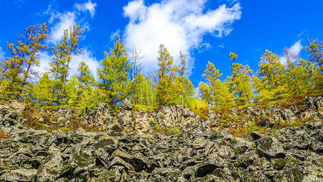 Aershan National Forest Park Rocky Larch Forest, Inner Mongolia China