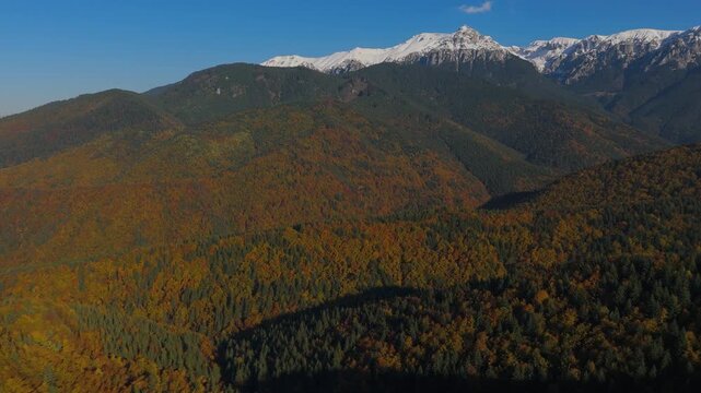 Cinematic Golden Hour Aerial Approach to Gaura Valley and Scara Peak Over Detailed Autumn Forest