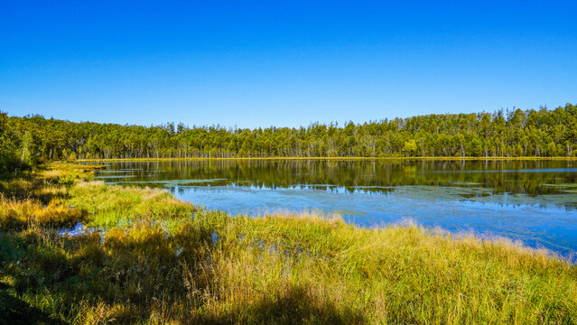 Aershan National Park Lake and Forest, Inner Mongolia