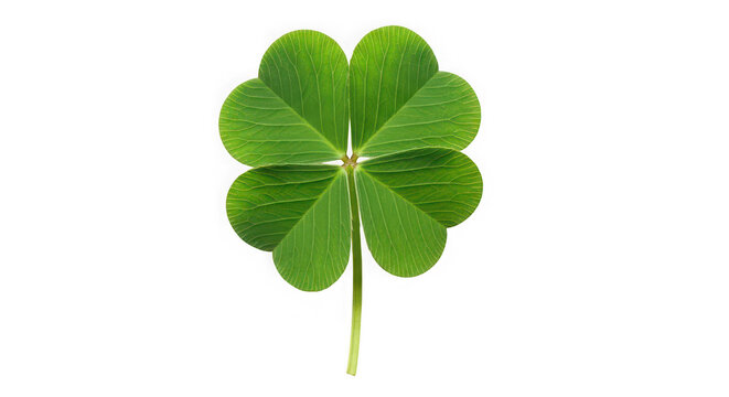 Lucky Leaf
