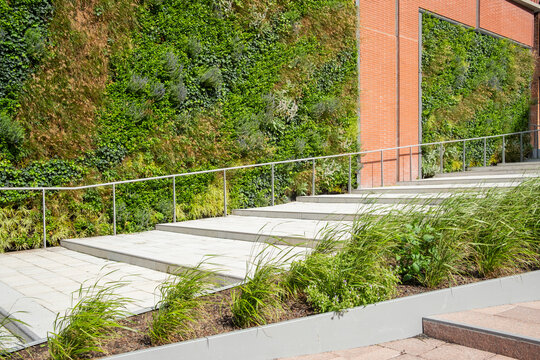 Modern urban architecture with sustainable greenery facade steps and terrace garden design for city green public outdoor space landscaping