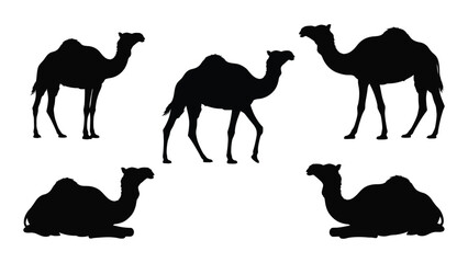Silhouettes of camels in various poses against a plain white background