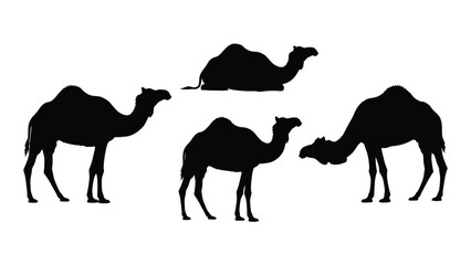 A silhouette depiction of three camels walking in a desert landscape © MDSAEEM
