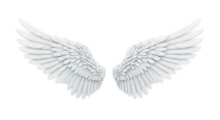 White Angel Wings