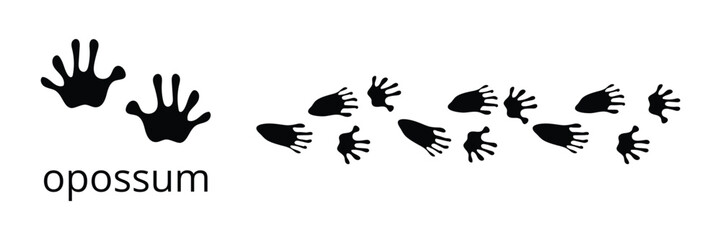 Obraz premium Opossum footprints silhouette set showing walking trail marks. Suitable for wildlife identification and tracking visuals.