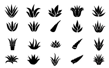 Aloe vera flyps modern silhouette icon illustration element