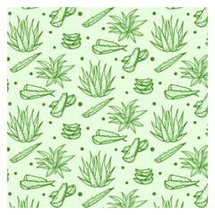 Aloe vera hand drawn sketch botanical herbal vintage illustration seamless pattern background