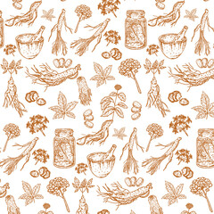 Gingseng flyps skecth botanical hand drawn herbal vintage illustration seamless pattern