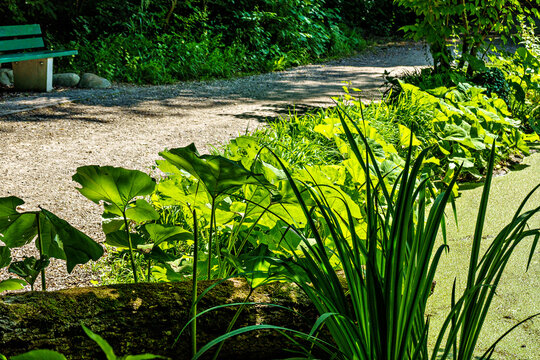 Hiking along the banks of the Bavarian River Wuerm with detailed views of green nature.
