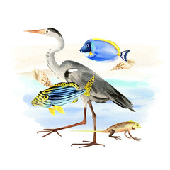 Obraz premium watercolor tropical fishes, gray heron, lizard, shell against blue splash, hand drawn bright underwater animals, bird, reptile, wildlife of islands of Indian ocean, inhabitants of Bali's, Maldives sea