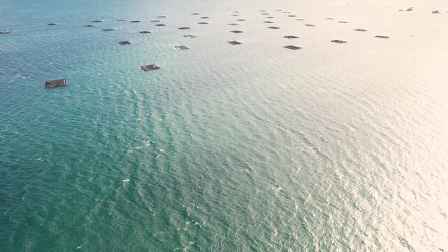 Aerial view of mussel farming rafts floating in blue sea The Concept of Aquaculture