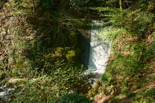 Mist cloaks McArthur Braes waterfall in Alva Glen
