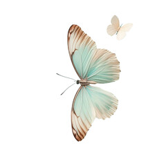 Naklejka premium Two graceful butterflies, one large and one small, featuring intricate light blue and cream wings, isolated as a PNG file with transparent background