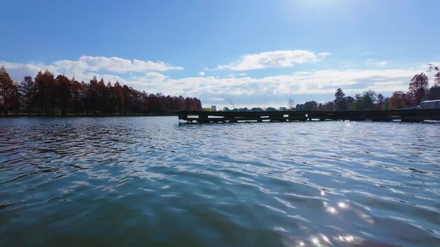 水元公園の小合溜