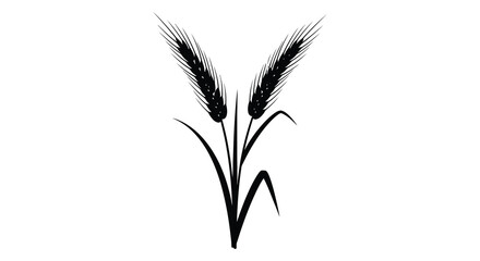 A striking depiction of two wheat stalks with detailed grain heads and curving stems presented as a dark silhouette © Pvect02