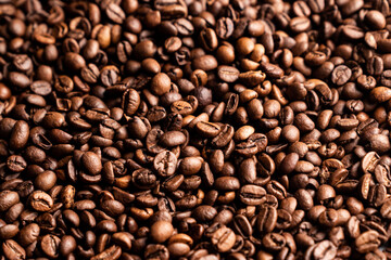 Fototapeta premium Fresh coffee beans spread out on a surface in the morning light