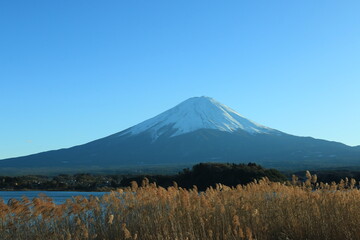 大石公園から見る富士山
