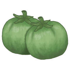 Illustration of two green tomatoes 