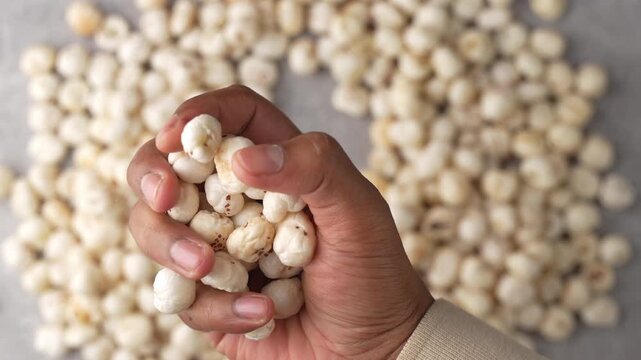 Picking Makhana with a human hand.