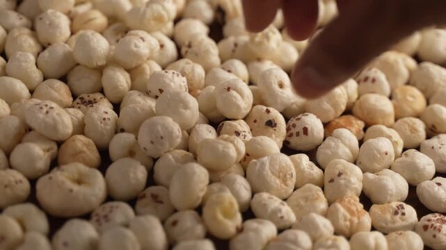 Picking Makhana with a human hand.