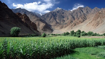 Lush Green Field with Jagged Mountain Range Under Blue Sky on a Sunny Day in Rugged Terrain