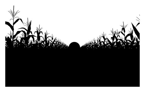 Cornfield Silhouette - Minimalist Vector Illustration