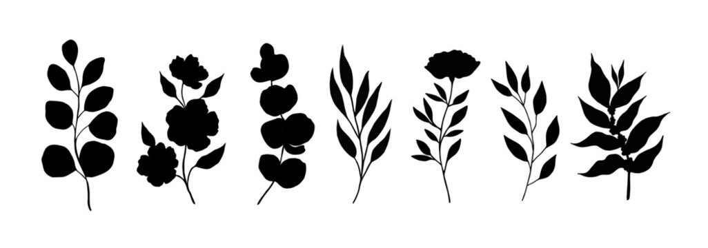 Set of vector silhouette medical plants. Medical herbs. Design for package, cards, backgrounds, logo, cosmetics and herbal tea.