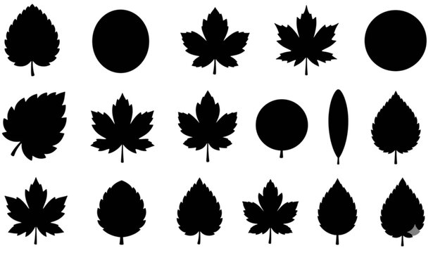 Assorted Black Leaf Silhouette Collection Vector with Botanical Shapes Isolated