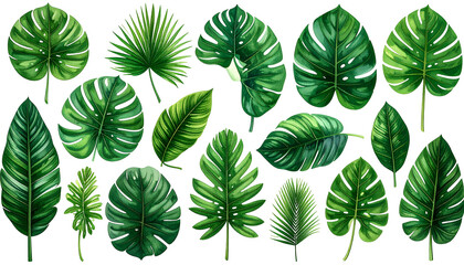 Obraz premium Array of watercolor-style tropical leaves on black background, showcasing various shapes