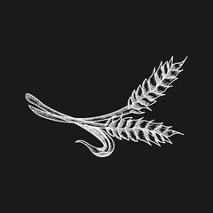Wheat Grain Line Art Design Illustration &ndash; Barley Ear Agriculture 