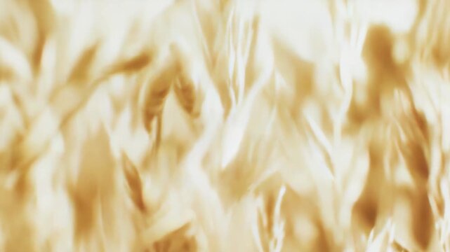 Golden wheat stalks in soft focus create a dreamy, glowing texture across a sunlit field, evoking ripeness, abundance and warm summer harvest atmosphere