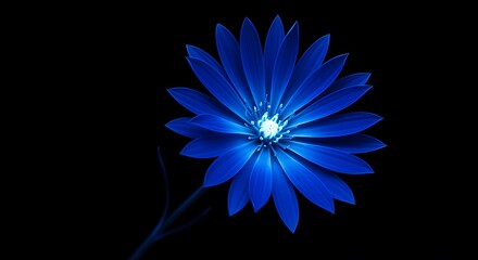 Obraz premium Glowing blue flower with long petals and bright center on dark background
