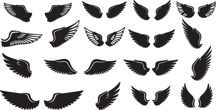 black wings badge set. Bird wings, angel wings elements. Aviation pilot patch badge. Heraldic vintage army insignia emblem falcon phoenix hawk.