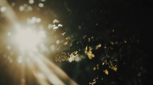 Sunbeams creating a radiant light effect, illuminating dappled green foliage and branches within a serene natural environment, highlighting concepts of warmth, light, hope, and organic growth