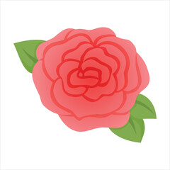 Stylized pink rose illustration Vector