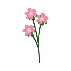 Pink flowers illustration, three delicate blooms, green stems Vector