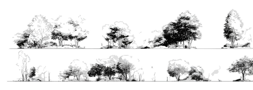 Cole&ccedil;&atilde;o de &aacute;rvores desenhadas &agrave; m&atilde;o, vetorizadas para uso em projetos arquitet&ocirc;nicos, com fundo transparente para f&aacute;cil integra&ccedil;&atilde;o.