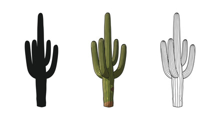 Obraz premium Saguaro cactus illustration set in black silhouette, realistic color, and engraving styles