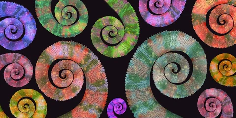 Colorful Chameleon Tails Abstract Spiral Background, Abstract Spiral Pattern of Colorful Chameleon Tails © Helen
