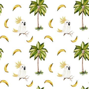 Watercolor design featuring bananas, palm trees, and birds on white background