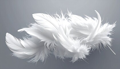 Obraz premium A cluster of white feathers on a gray background
