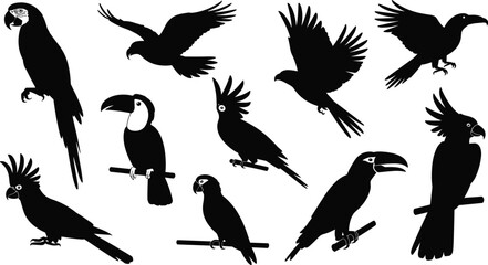 Fototapeta premium Black parrot, toucan, and tropical bird silhouettes collection isolated on white background, flying and perched exotic birds set for wildlife design, logo, tattoo, and nature concepts