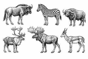 Fototapeta premium Vintage illustrations of diverse african wildlife in black and white