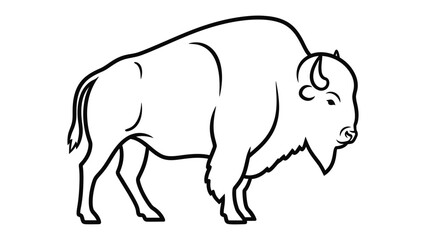Majestic Buffalo Outline: A strong and iconic outline of a buffalo, symbolizing resilience and strength, stands ready against a simple backdrop, perfect for design and illustration projects. © Murshida