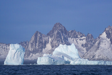 Icebergs and mountainous coastline